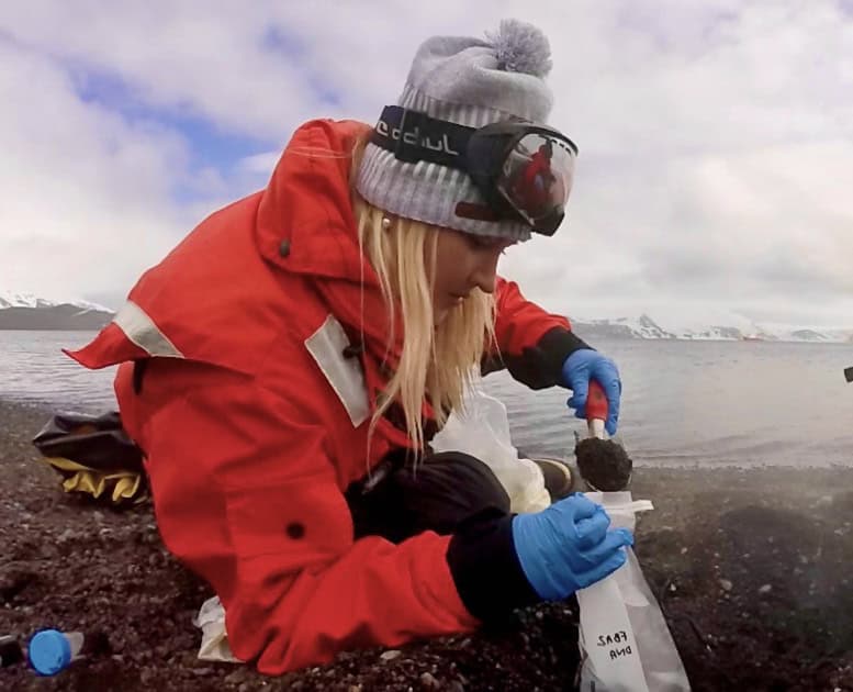 Pesquisadora coletando amostras da terra