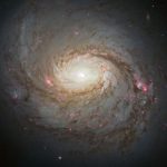 Imagem de M77