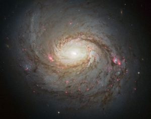 Imagem de M77