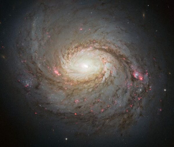 Imagem de M77