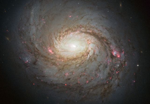 Imagem de M77